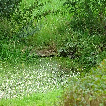Appartamento Urselhof Hermsdorf  Esterno foto