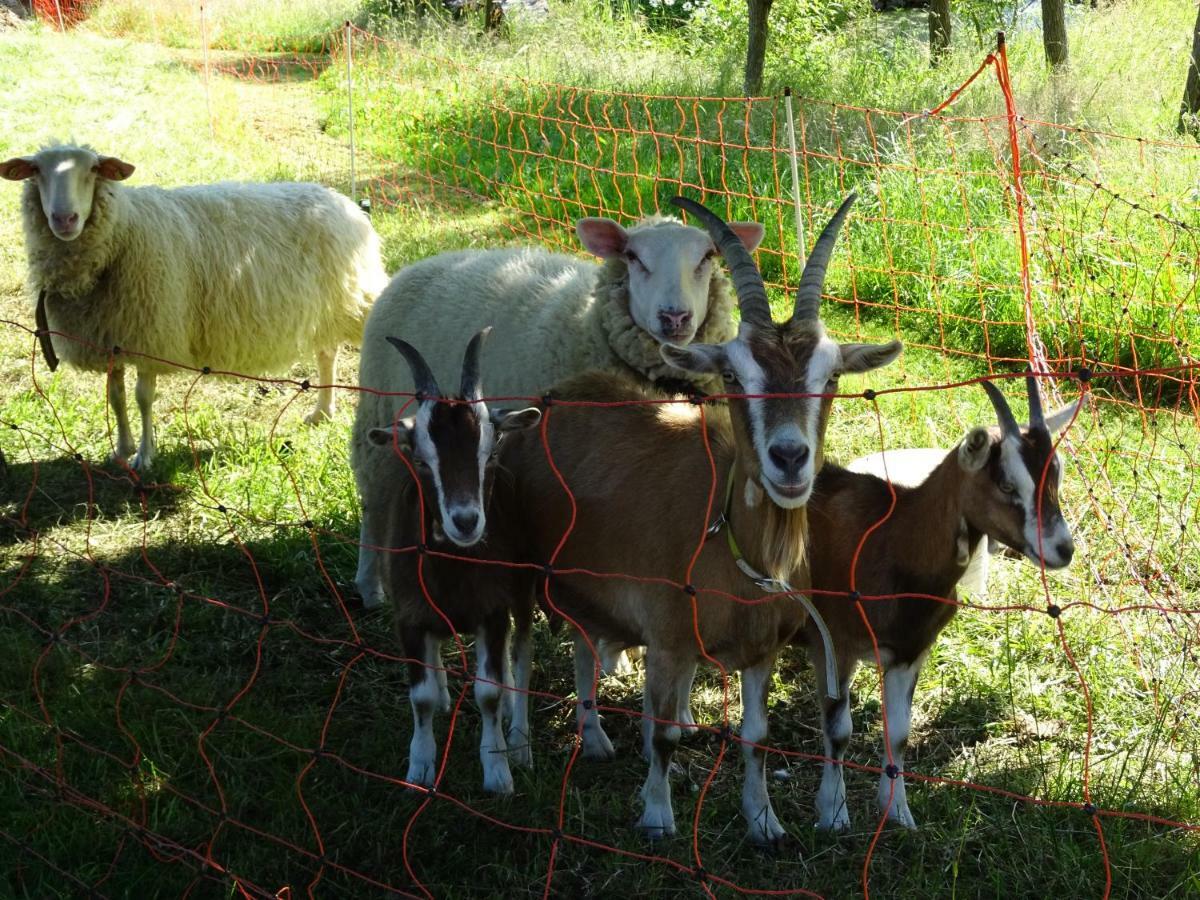 Appartamento Urselhof Hermsdorf  Esterno foto